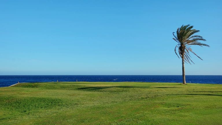 When Is It Too Windy To Play Golf?