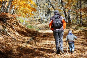 Is Hiking a Better Hobby Than Going to The Gym?