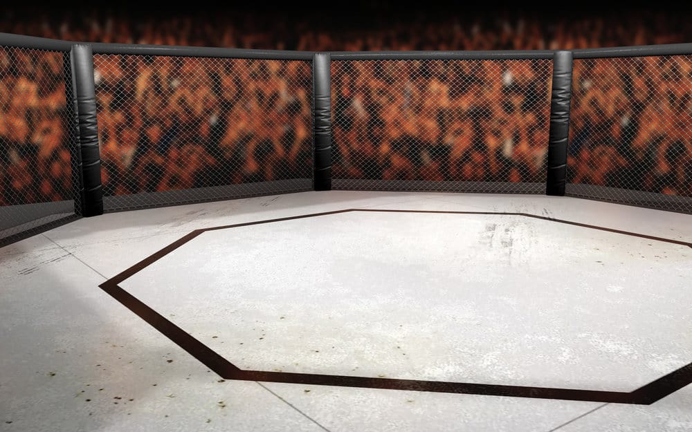 The Lone Wolf's Guide to Enjoying an MMA Match Solo