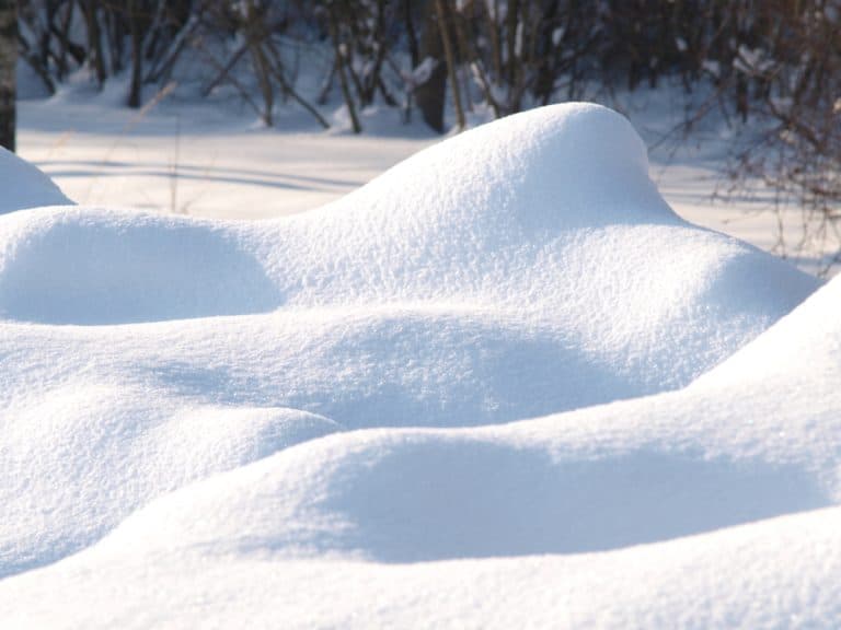 How Much Snow Can a Convertible Top Hold? (Understanding the Limits of