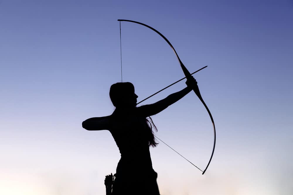 Is It Cheaper to Buy or Make Arrows?