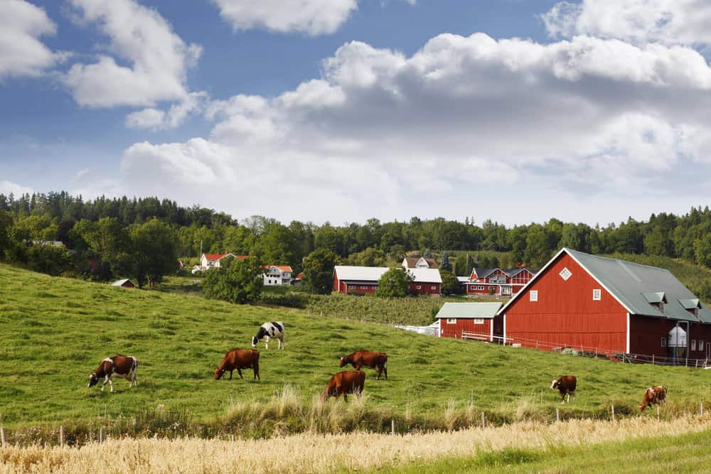 Farming as a Hobby