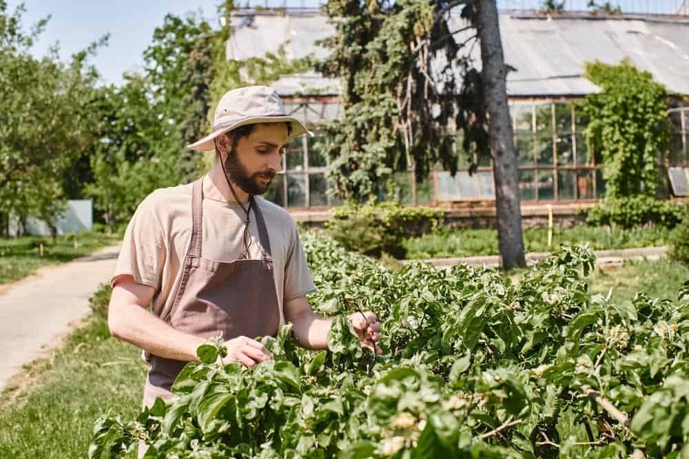 Can You Make Money from a Hobby Farm?